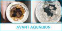 Avant Aquabion